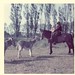 Jenny Baxter Photo 22