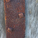 Debbie Rust Photo 15