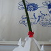 Marcia Chin Photo 8