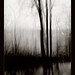David Robillard Photo 32