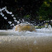 Thomas Fountain Photo 38