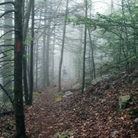 Andrea Worley Photo 15