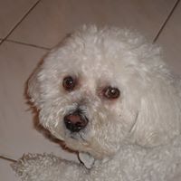 Diane Inman Photo 8