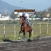 Jose Vera Photo 15