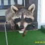 Jerry Mccauley Photo 12