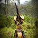 Eric Plum Photo 4