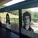 Alex Fleming Photo 8