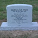 Samuel Cowan Photo 25
