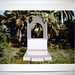 Jordan Adams Photo 8