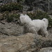 Charlie Gabriel Photo 17