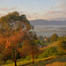 Dawn Eaton Photo 13