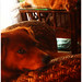 Amy Roscoe Photo 13