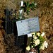 David Oaks Photo 39