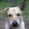 Margie Robinson Photo 22
