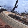 Wayne Chapman Photo 29