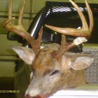 Gene Faulkner Photo 12