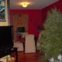Kelly Neumann Photo 20