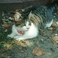 Debra Boyer Photo 7