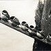 William Lovell Photo 16