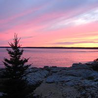 Cynthia Macdonald Photo 39