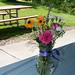 Cindy Clark Photo 24