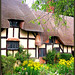 Richard Yeomans Photo 24