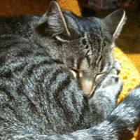Cathy Parish Photo 23
