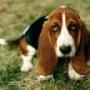 George Ioannidis Photo 15