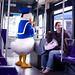 Donald Hows Photo 4