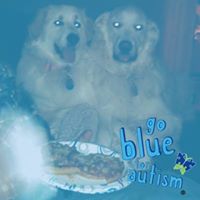 Dawn Rich Photo 31