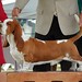 Joann Nolan Photo 11