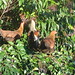 Kimberly Hedges Photo 17