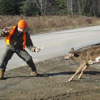 Lawrence Gibbs Photo 9