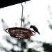 Shelia Turner Photo 20