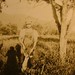 Betty Ellis Photo 18