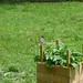 Robin Handy Photo 12