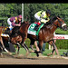 Anthony Velazquez Photo 18
