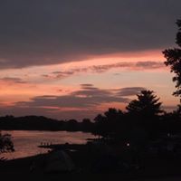 Vicki Phipps Photo 16