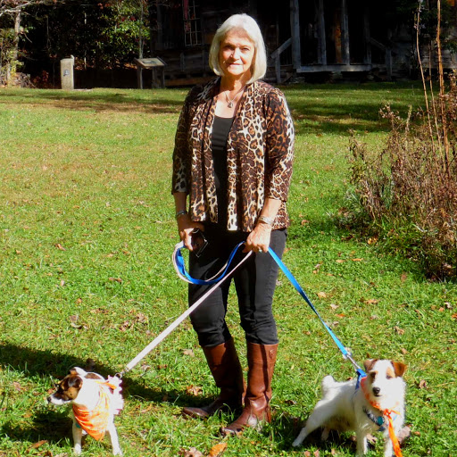 Susan Shedd Photo 18