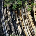 Martin Combs Photo 11