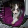 Tammy Hammond Photo 28