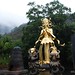 Linh Than Photo 12