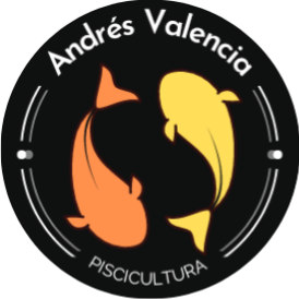 Andres Valencia Photo 27