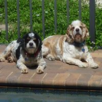 Ruth Galligan Photo 4