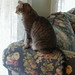 Amanda Murphy Photo 44