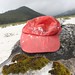 Liming Zhang Photo 22