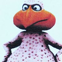 Allan Schwartz Photo 12 Allan Schwartz Photo 12