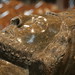 John King Photo 8