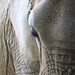 Mark Ferrante Photo 27
