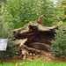 Elizabeth Oaks Photo 15